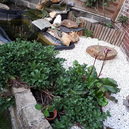 Cosy Avec Jardin, Espace Vintage Et Jeux De Societe