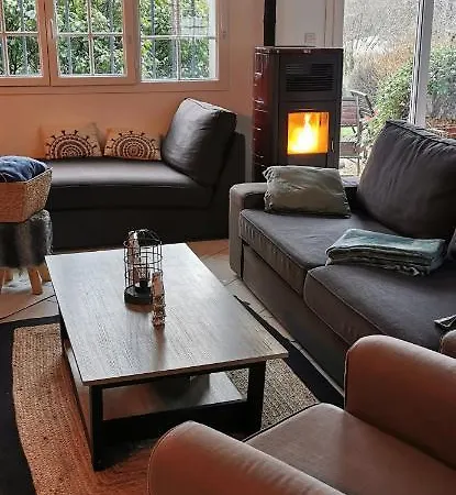 Проживание в семье Cosy