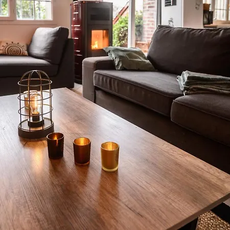 Проживание в семье Cosy