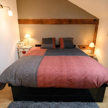 Cosy Homestay *
