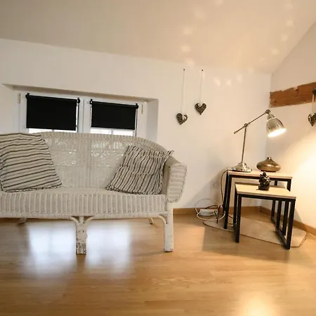 Проживание в семье Cosy