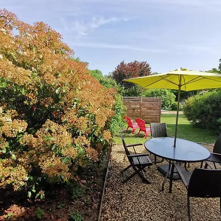 Cosy Проживание в семье