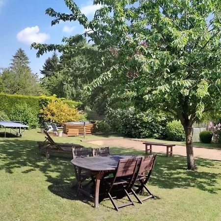 Cosy Проживание в семье