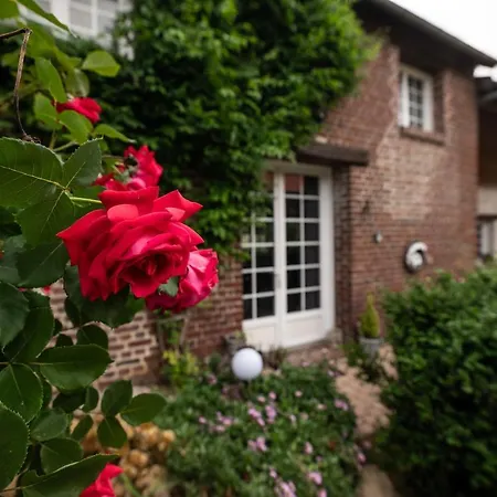 Cosy Avec Jardin, Espace Vintage Et Jeux De Societe Pansiyon