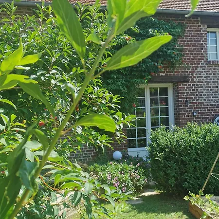 Cosy Avec Jardin, Espace Vintage Et Jeux De Societe