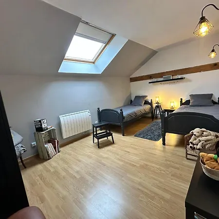 Cosy Avec Jardin, Espace Vintage Et Jeux De Societe *